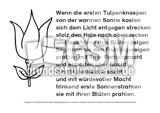 Tulpe-Abschreibtexte-SW 4.pdf